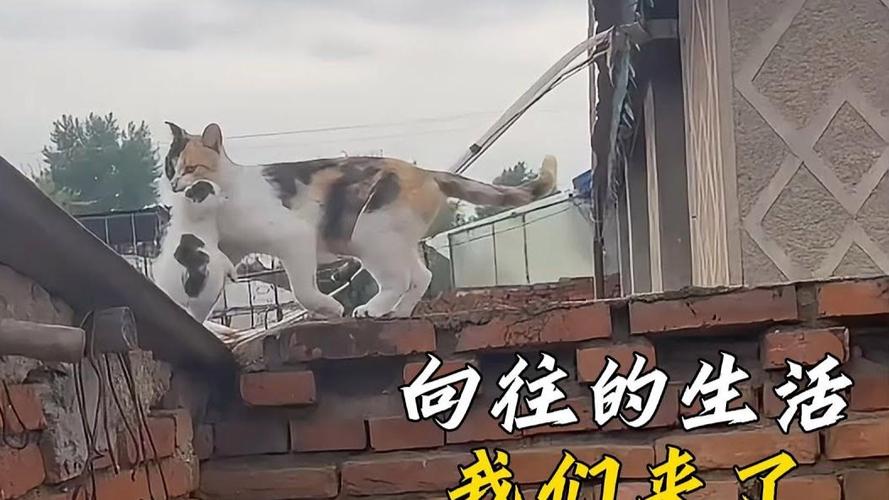 解决方案 第29页